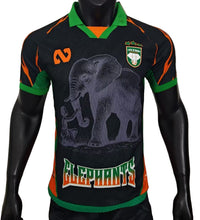 Maillot Côte d'Ivoire édition spéciale 25/26 - Version Joueur