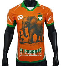 Maillot Côte d'Ivoire édition spéciale 25/26 - Version Joueur