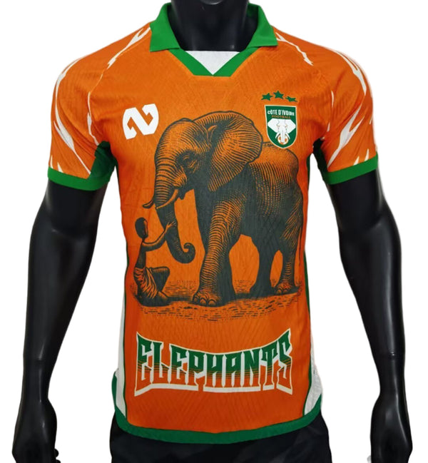 Maillot Côte d'Ivoire édition spéciale 25/26 - Version Joueur