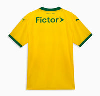 Maillot Palmeiras III 25/26