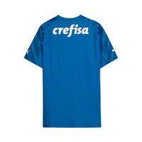 Maillot Palmeiras Gardien 24/25 - Bleu