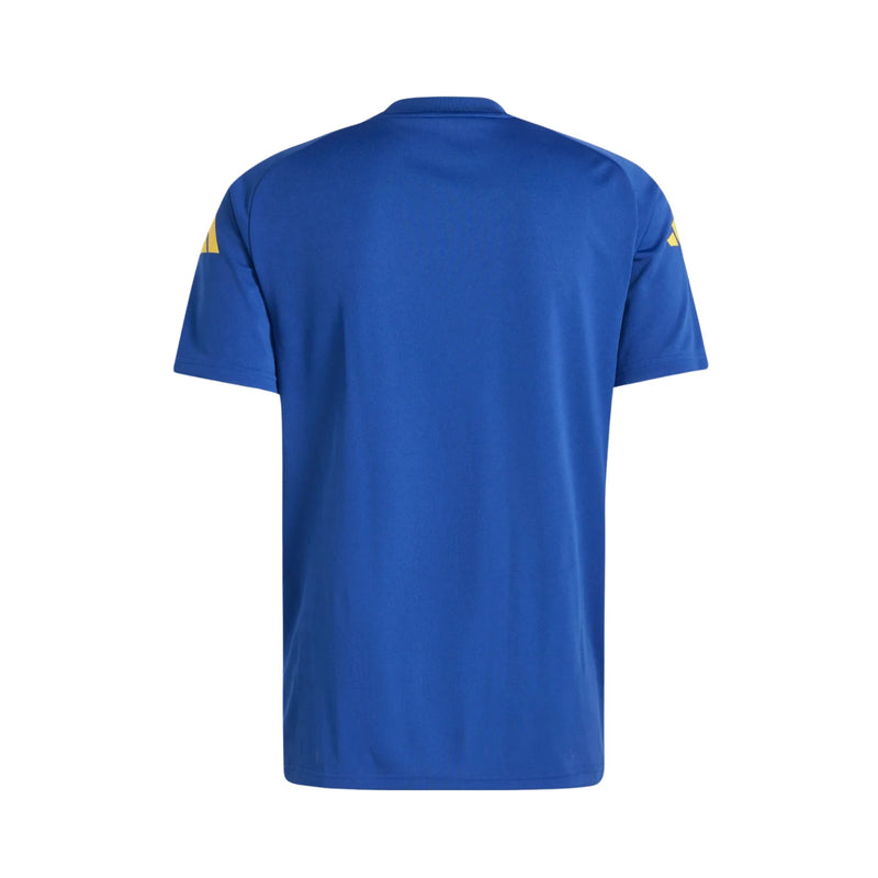 Maillot Sélection Espagne entraînement 24/25
